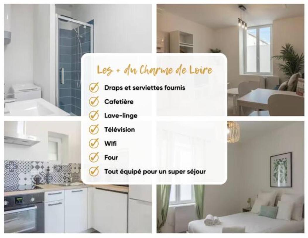 Charme De Loire A St Ay *T2* Saint-Ay Exterior foto